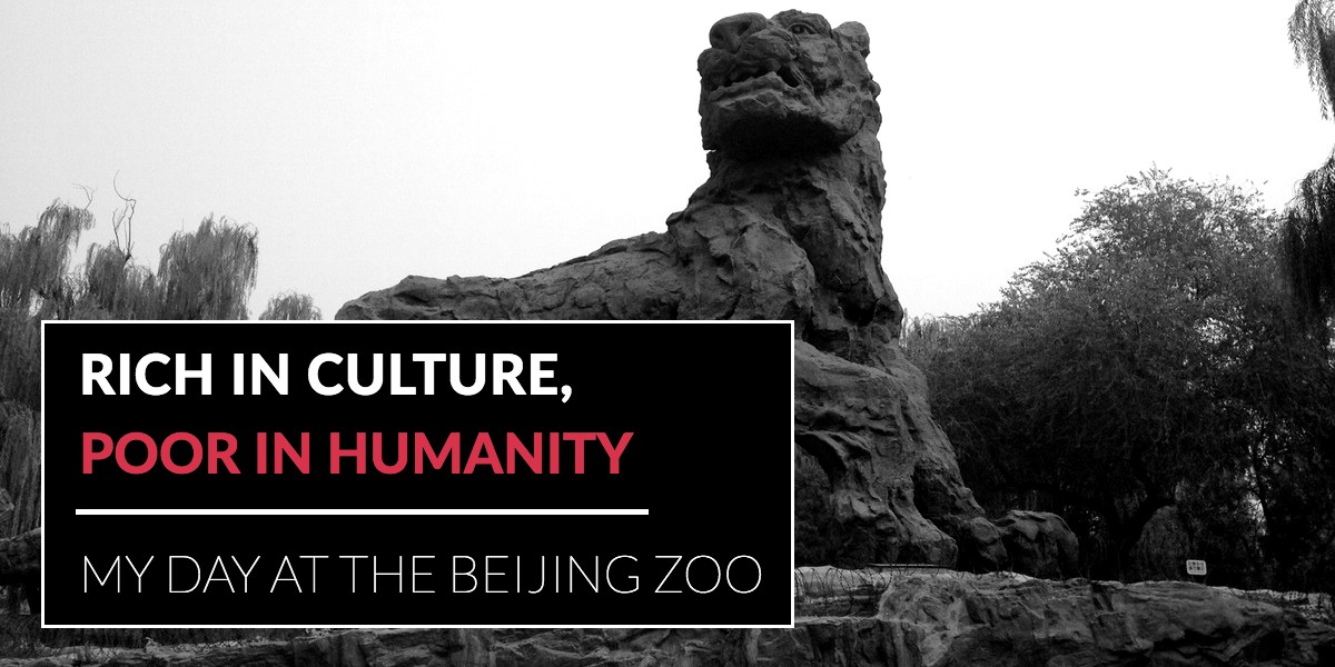 Beijing Zoo Sculpture